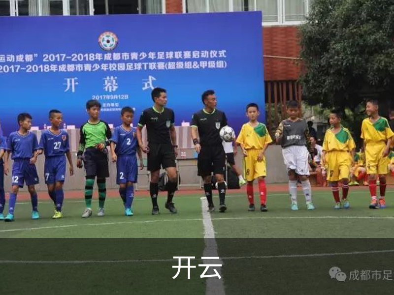 开云介绍